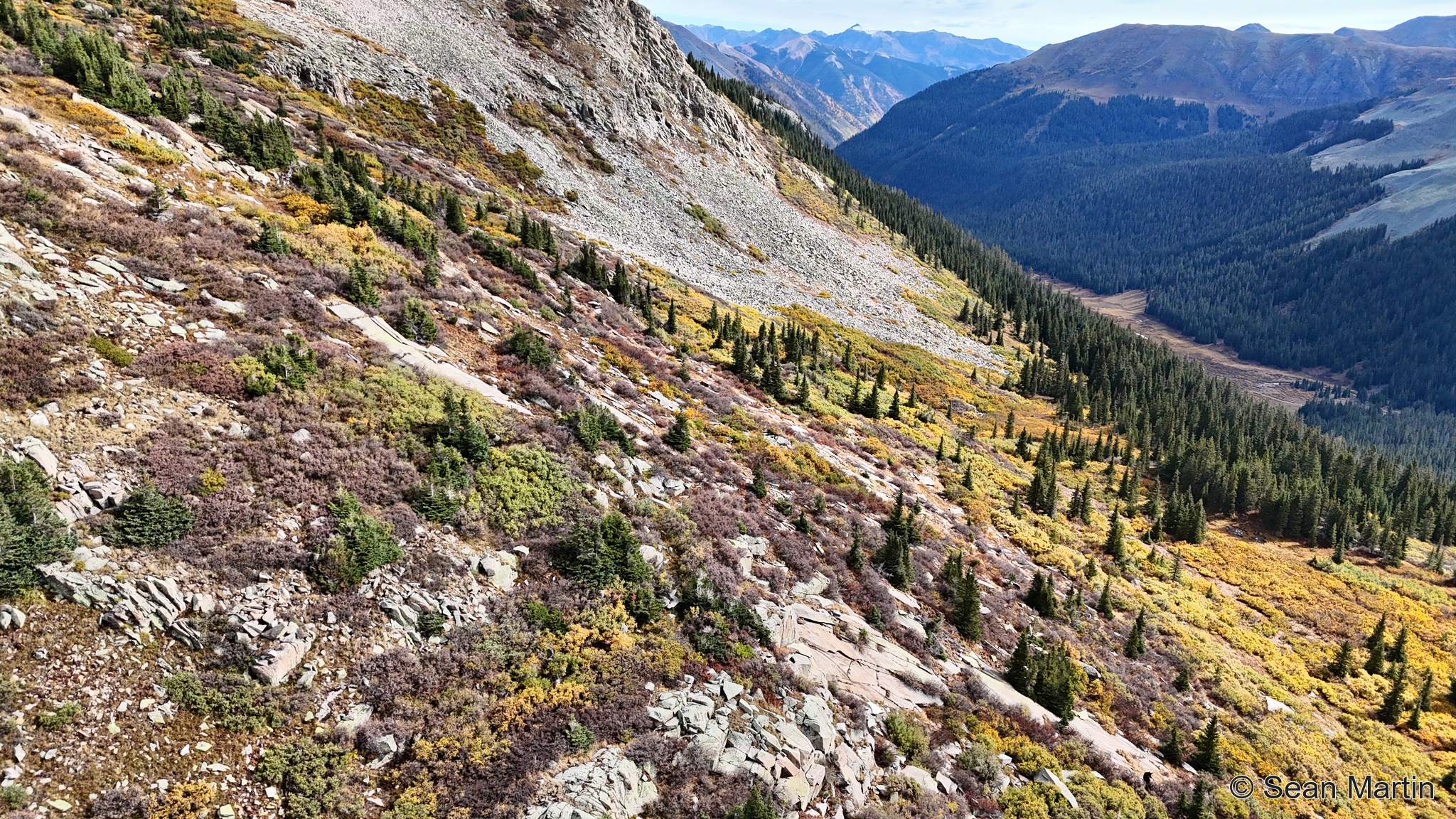 Yellow aspens below a rocky mountainside